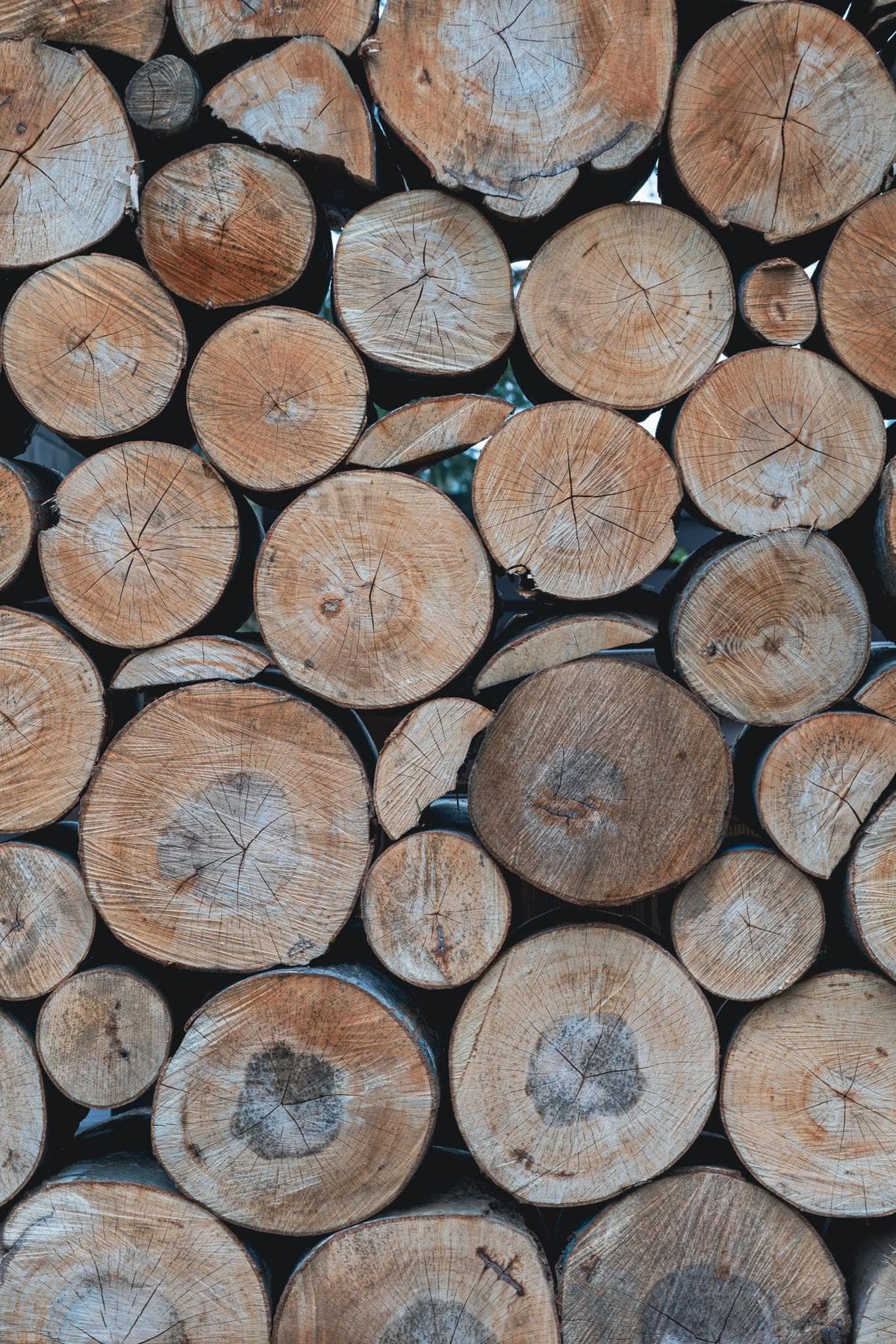 Seasoned timber stock